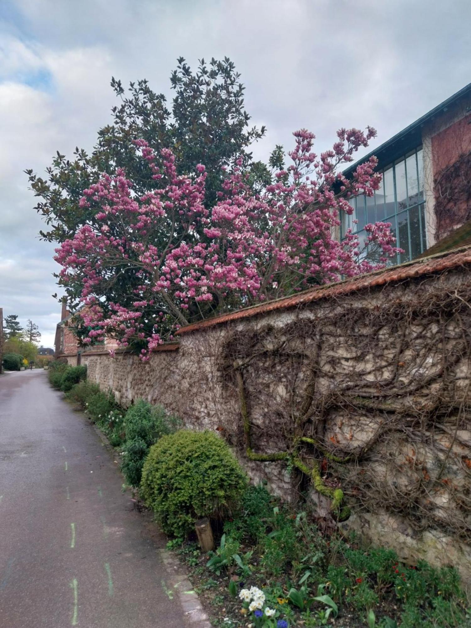 Hotel Le Prieure Reposant à Port-Villez Extérieur photo